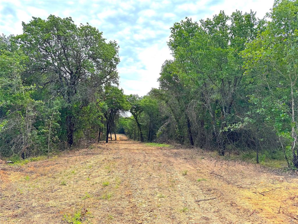 Tbd Turpin Lake Road Property Photo 4