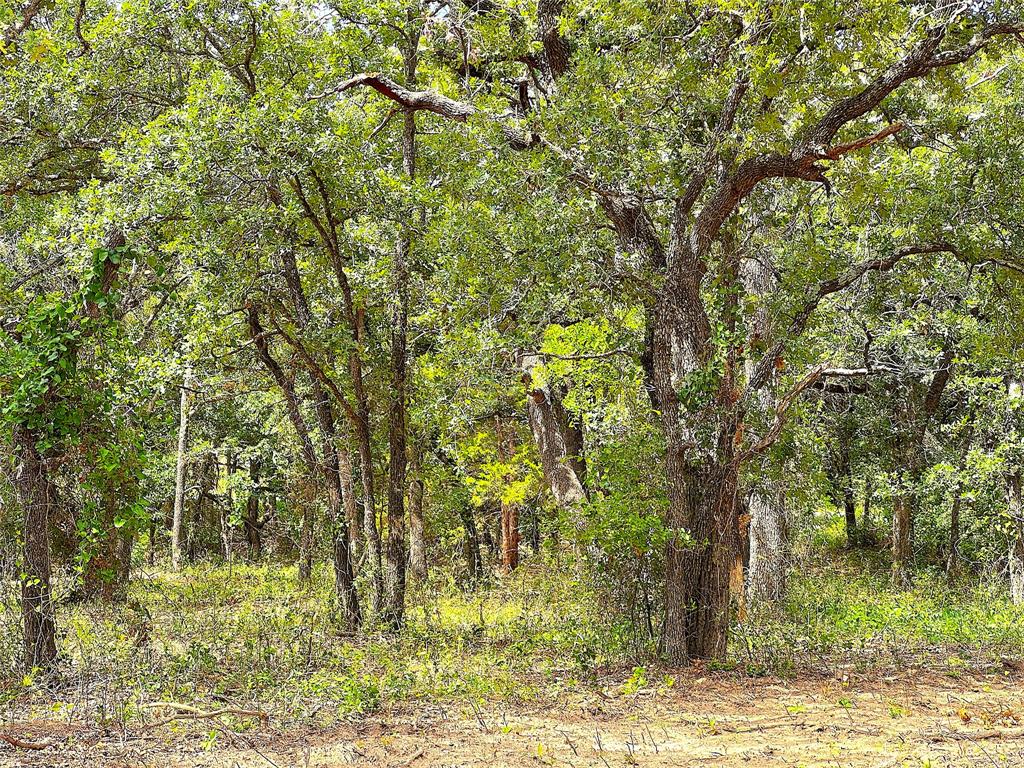 Tbd Turpin Lake Road Property Photo 5