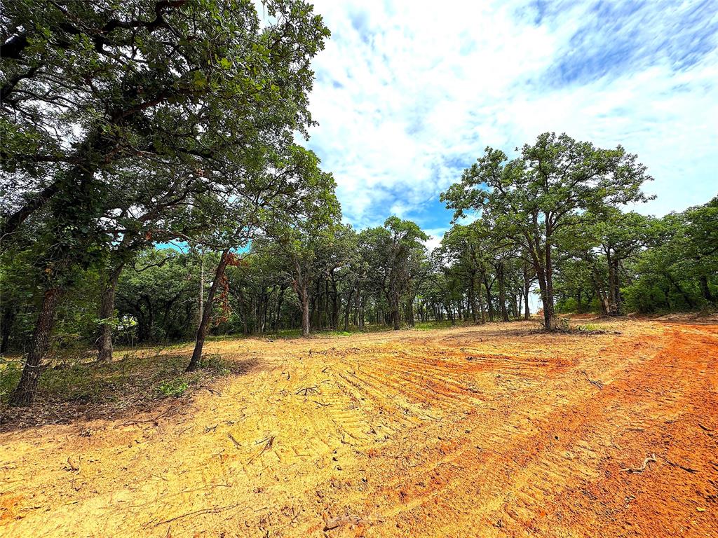 Tbd Turpin Lake Road Property Photo 8