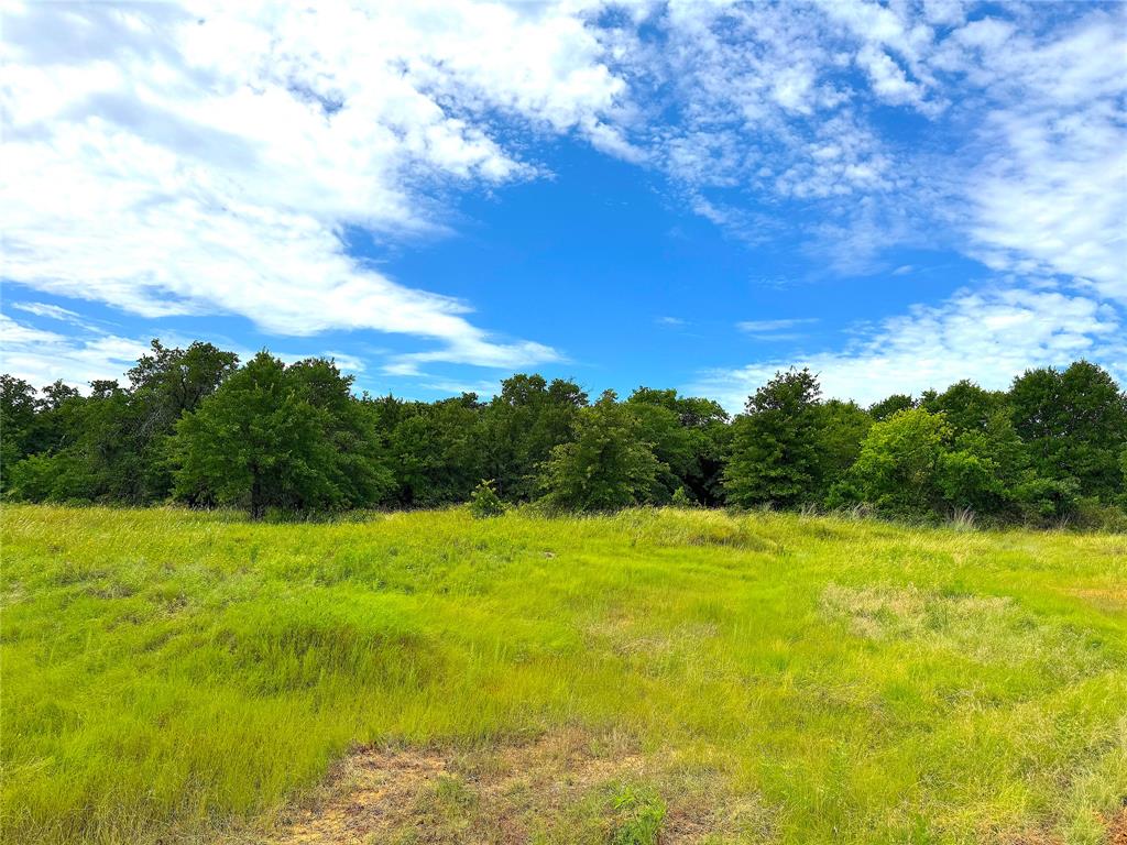 Tbd Turpin Lake Road Property Photo 9