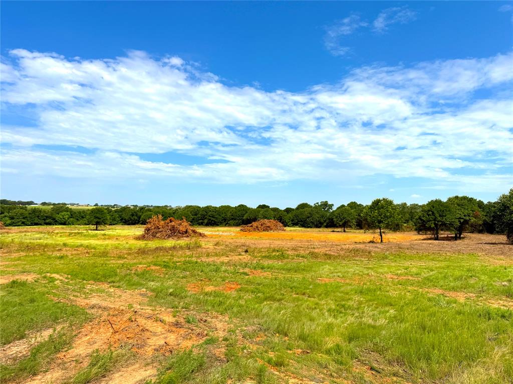 Tbd Turpin Lake Road Property Photo 12
