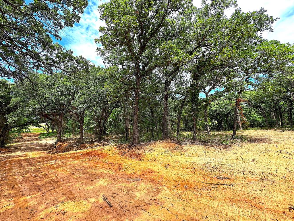 Tbd Turpin Lake Road Property Photo 14