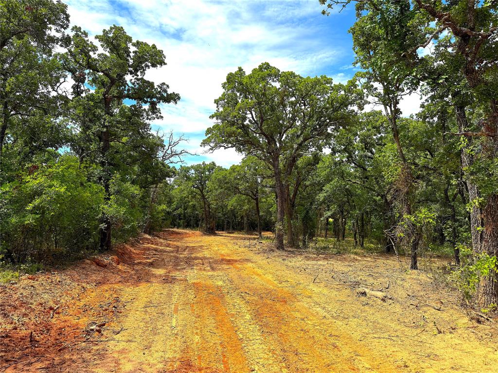 Tbd Turpin Lake Road Property Photo 19