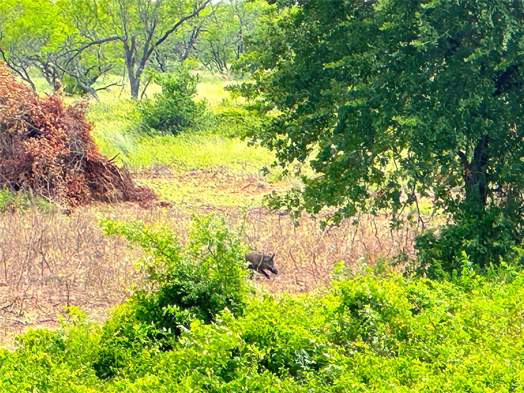 Tbd Turpin Lake Road Property Photo 22