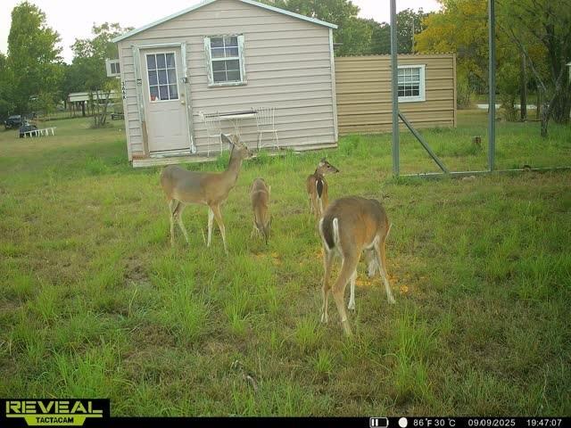 366 Saint Kitts Rd Property Photo 20
