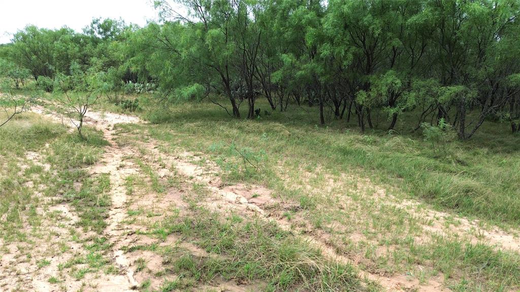 Tbd Cr 248 A Property Photo 16