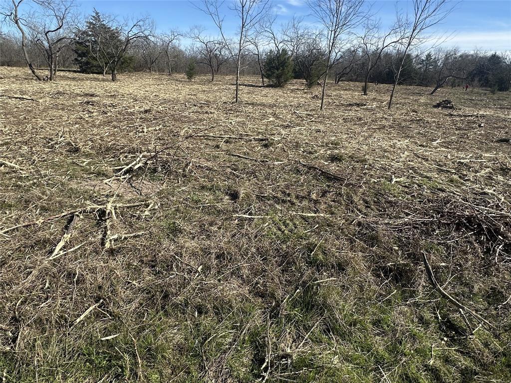 7077 County Road 4042 Property Photo 1