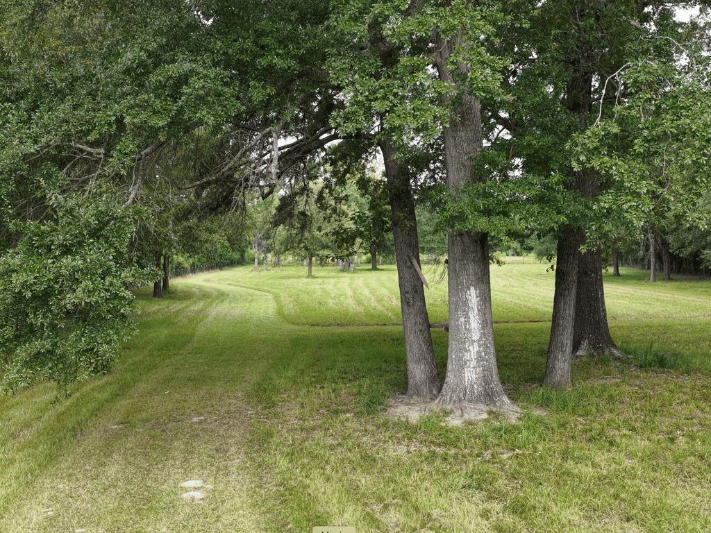 7036 Fm 841 Property Photo 2