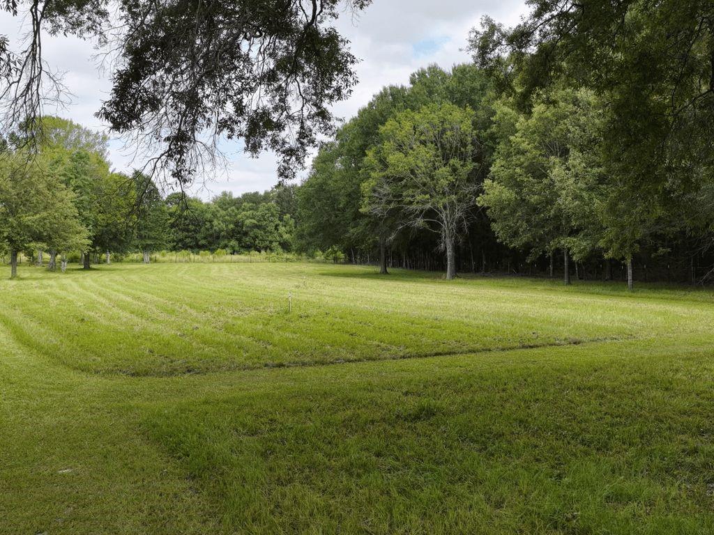 7036 Fm 841 Property Photo 34
