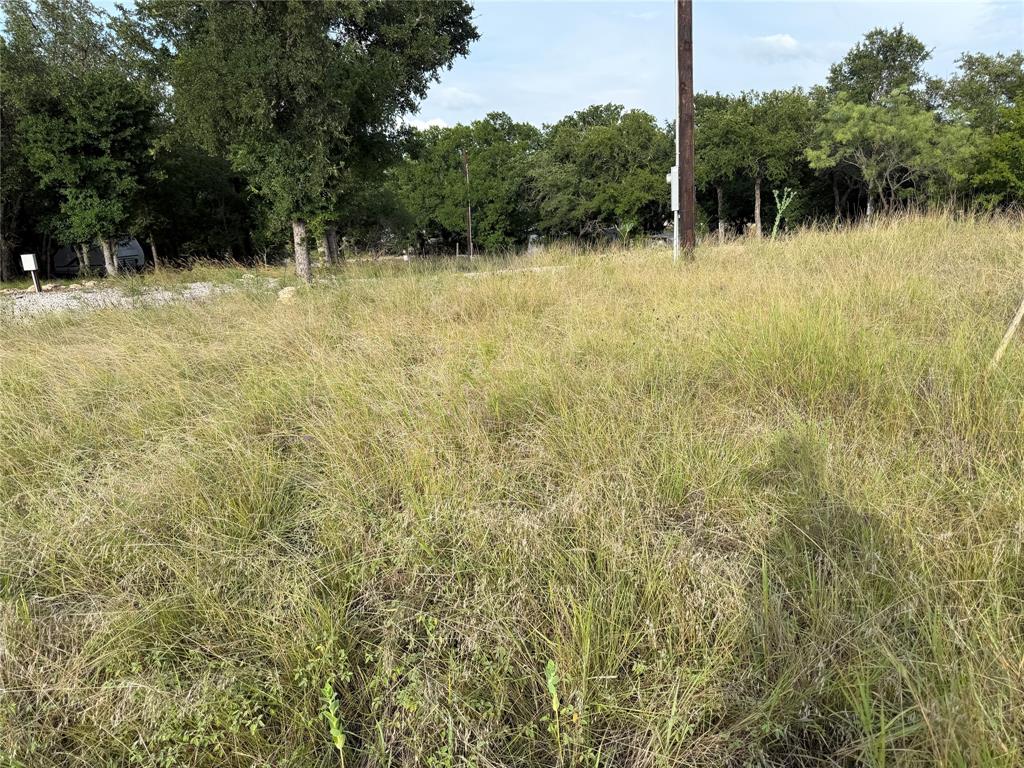 Tbd Lot 899 Oak Point Drive Property Photo 6