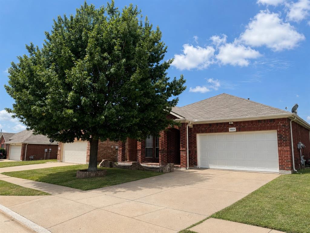 9524 Willow Branch Way Property Photo 1