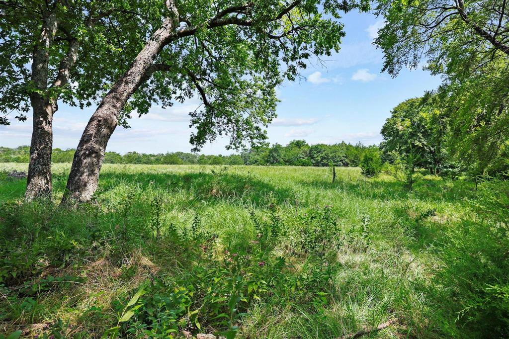 2496 Greer Road Property Photo 7