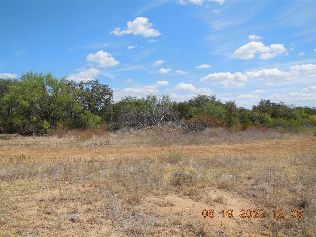 Tbd 10 Acres Cr 136 Property Photo 2