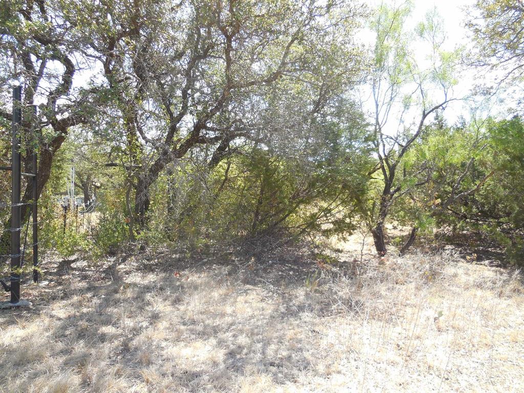 Tbd 10 Acres Cr 136 Property Photo 3