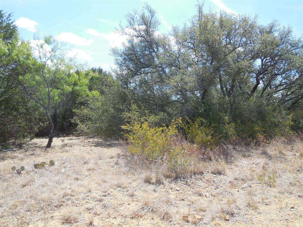 Tbd 10 Acres Cr 136 Property Photo 4