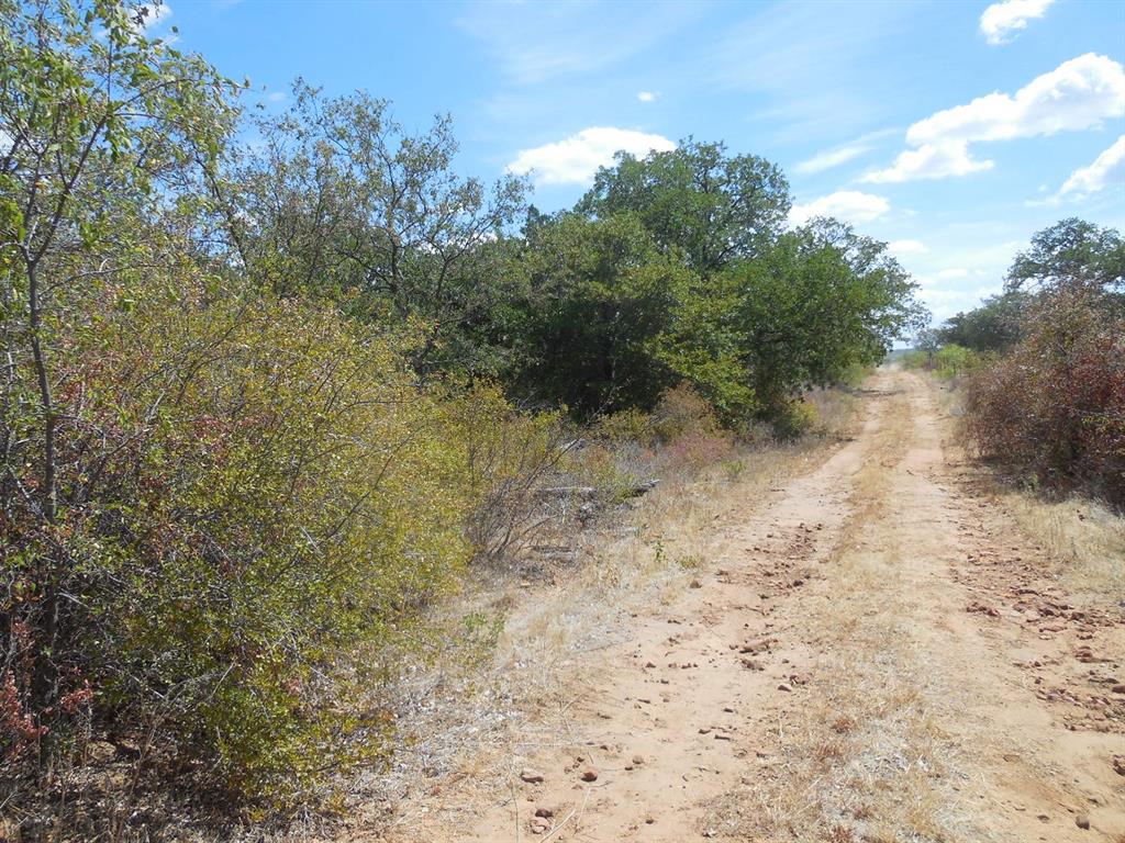 Tbd 10 Acres Cr 136 Property Photo 5