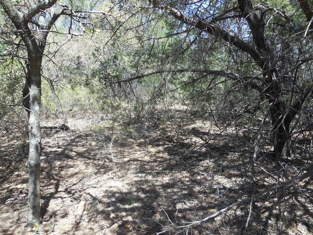 Tbd 10 Acres Cr 136 Property Photo 6
