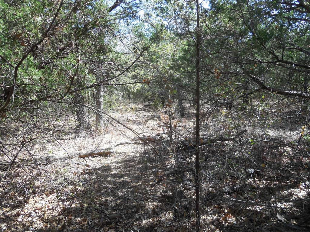 Tbd 10 Acres Cr 136 Property Photo 7