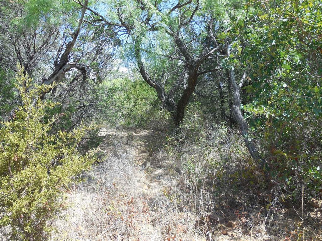 Tbd 10 Acres Cr 136 Property Photo 8