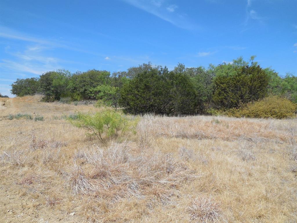Tbd 10 Acres Cr 136 Property Photo 9