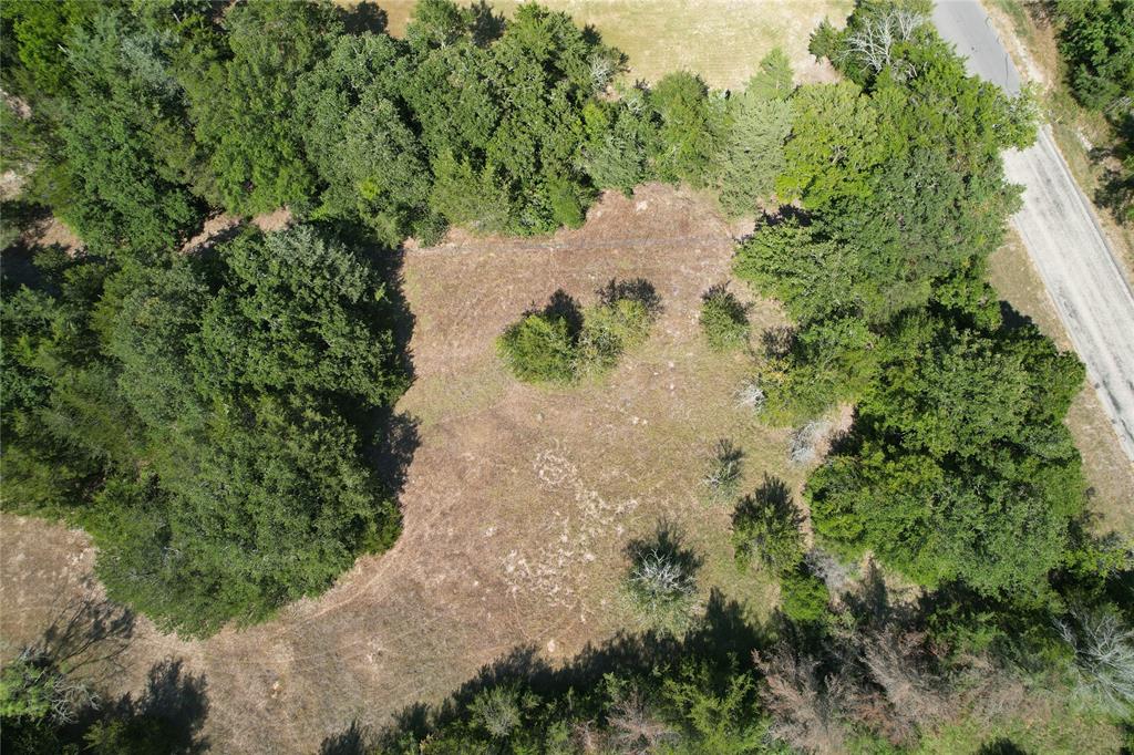 9373 Green Branch Loop Property Photo 1