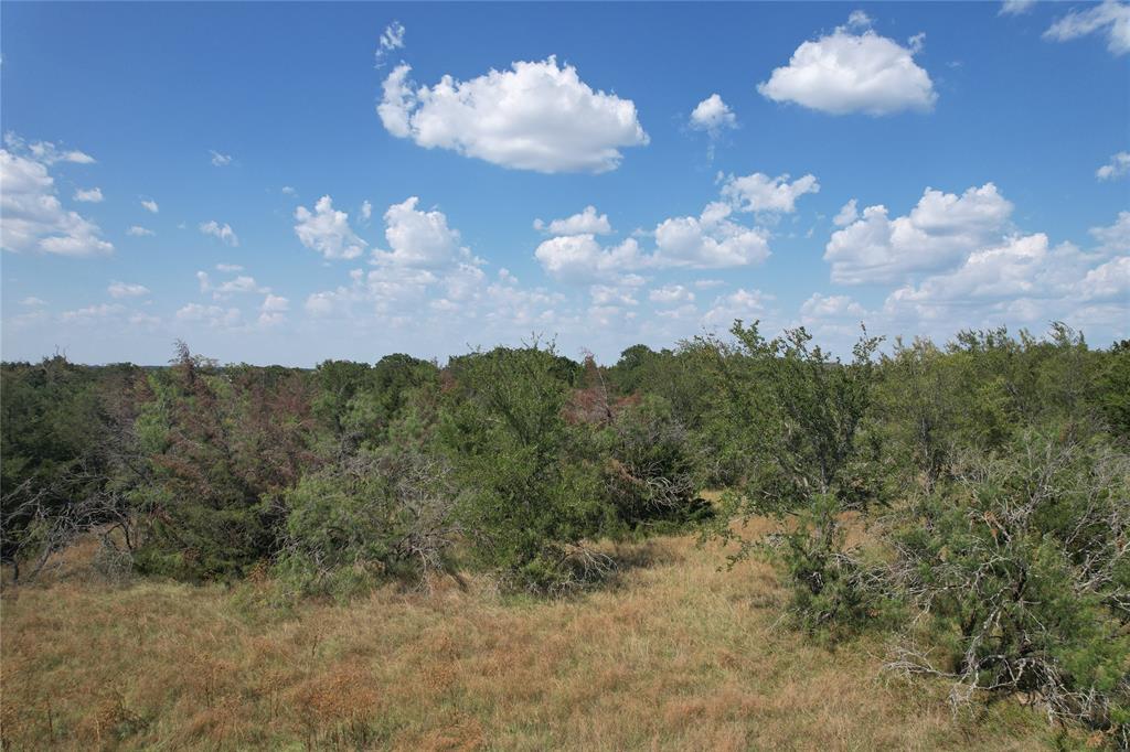 9373 Green Branch Loop Property Photo 4