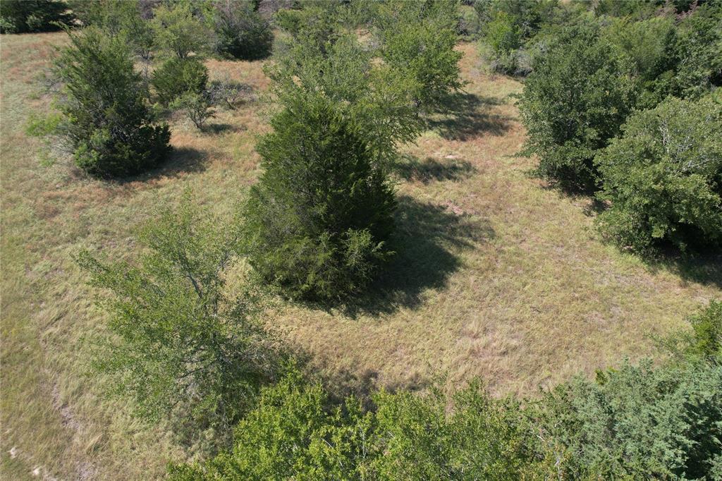 9373 Green Branch Loop Property Photo 5