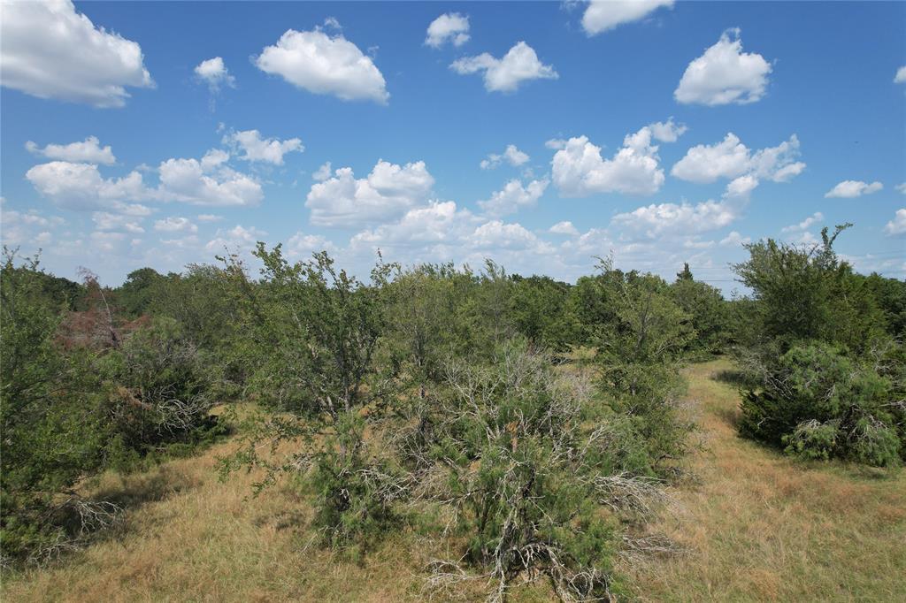 9373 Green Branch Loop Property Photo 6