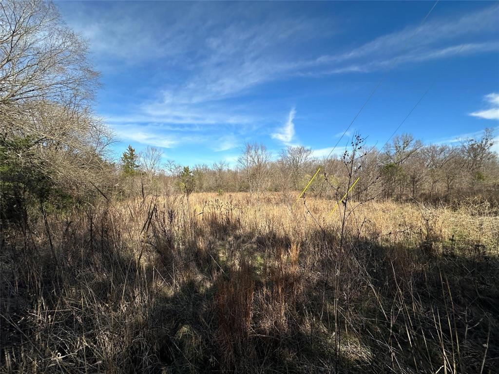 0000 County Road 2324 Property Photo 2