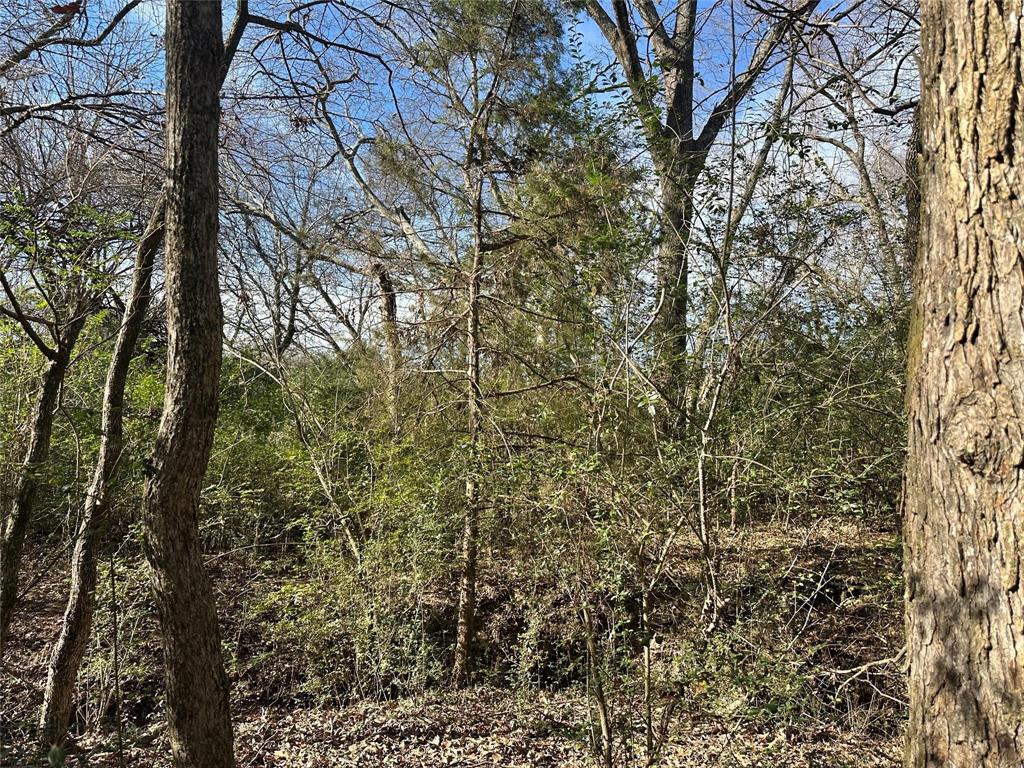 0000 County Road 2324 Property Photo 3