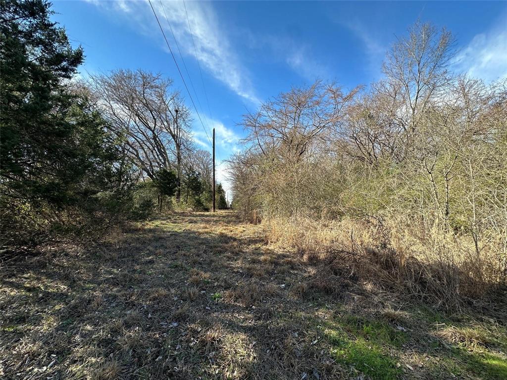 0000 County Road 2324 Property Photo 8