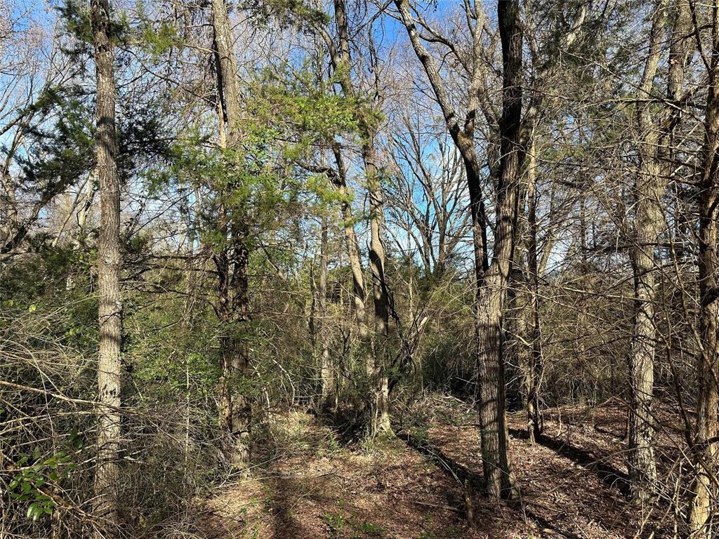 0000 County Road 2324 Property Photo 9