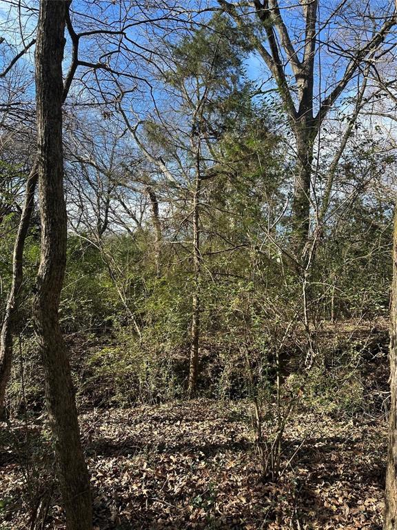 0000 County Road 2324 Property Photo 10