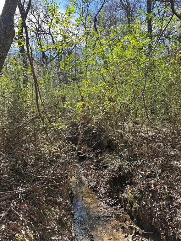 0000 County Road 2324 Property Photo 11