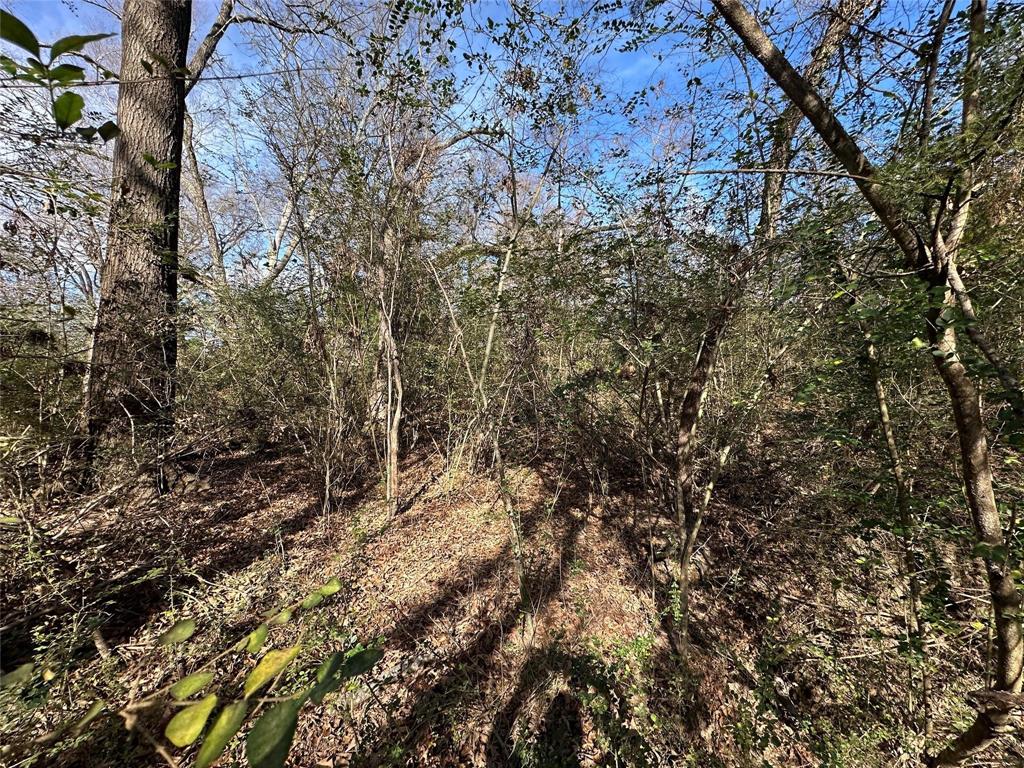 0000 County Road 2324 Property Photo 12