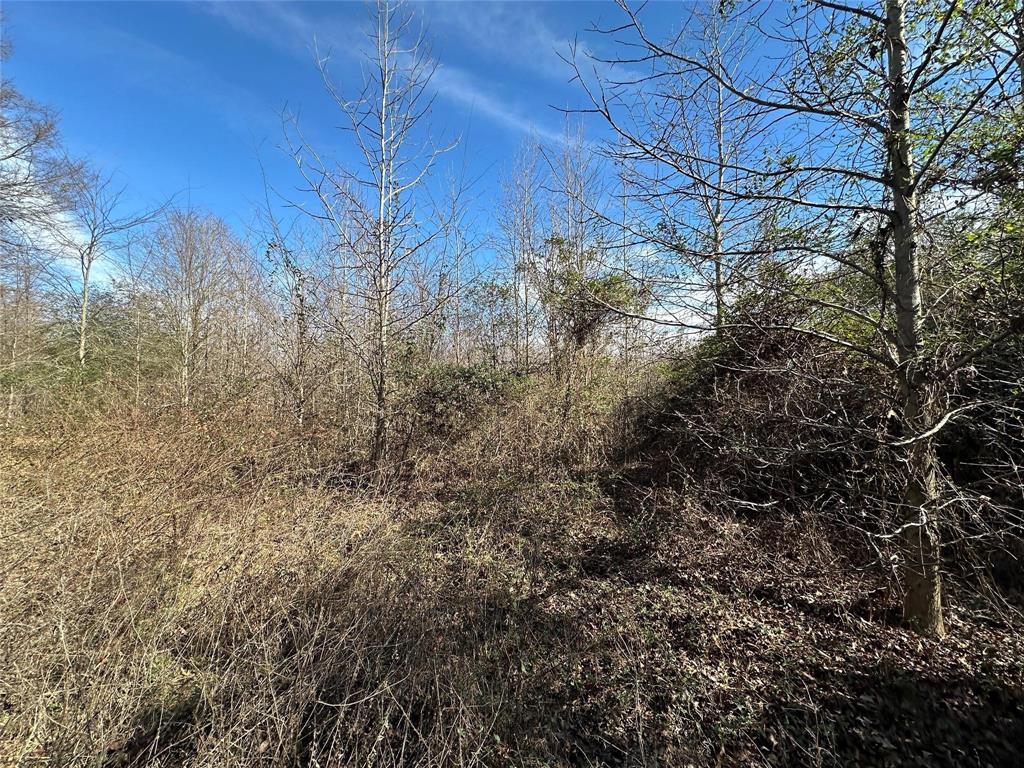 0000 County Road 2324 Property Photo 14
