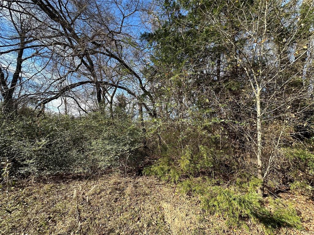 0000 County Road 2324 Property Photo 15