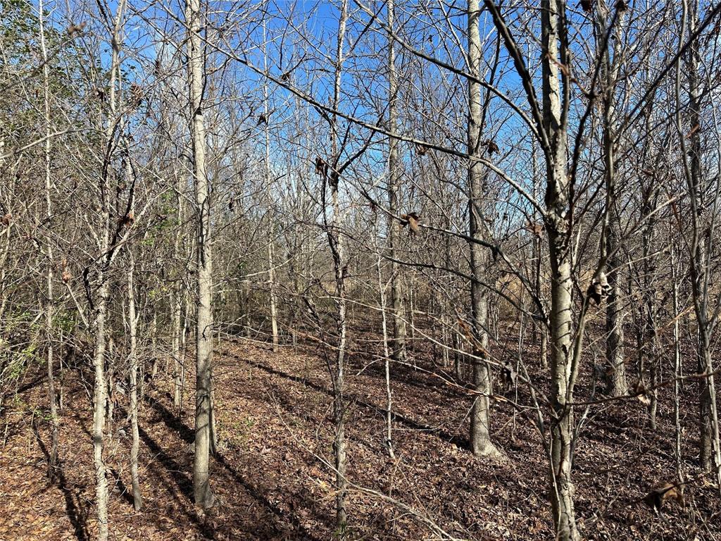 0000 County Road 2324 Property Photo 16