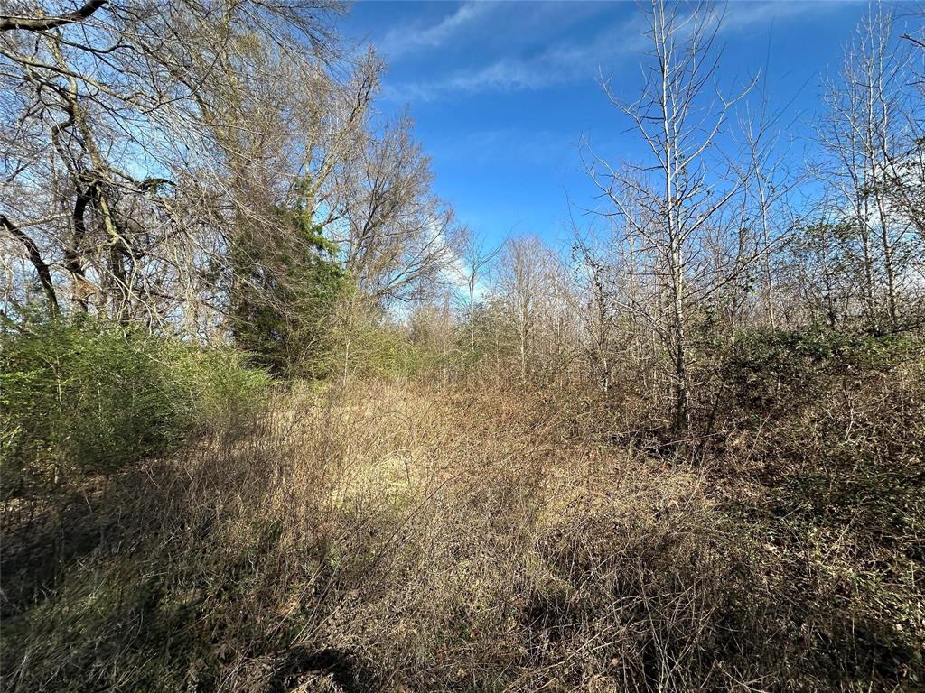 0000 County Road 2324 Property Photo 17