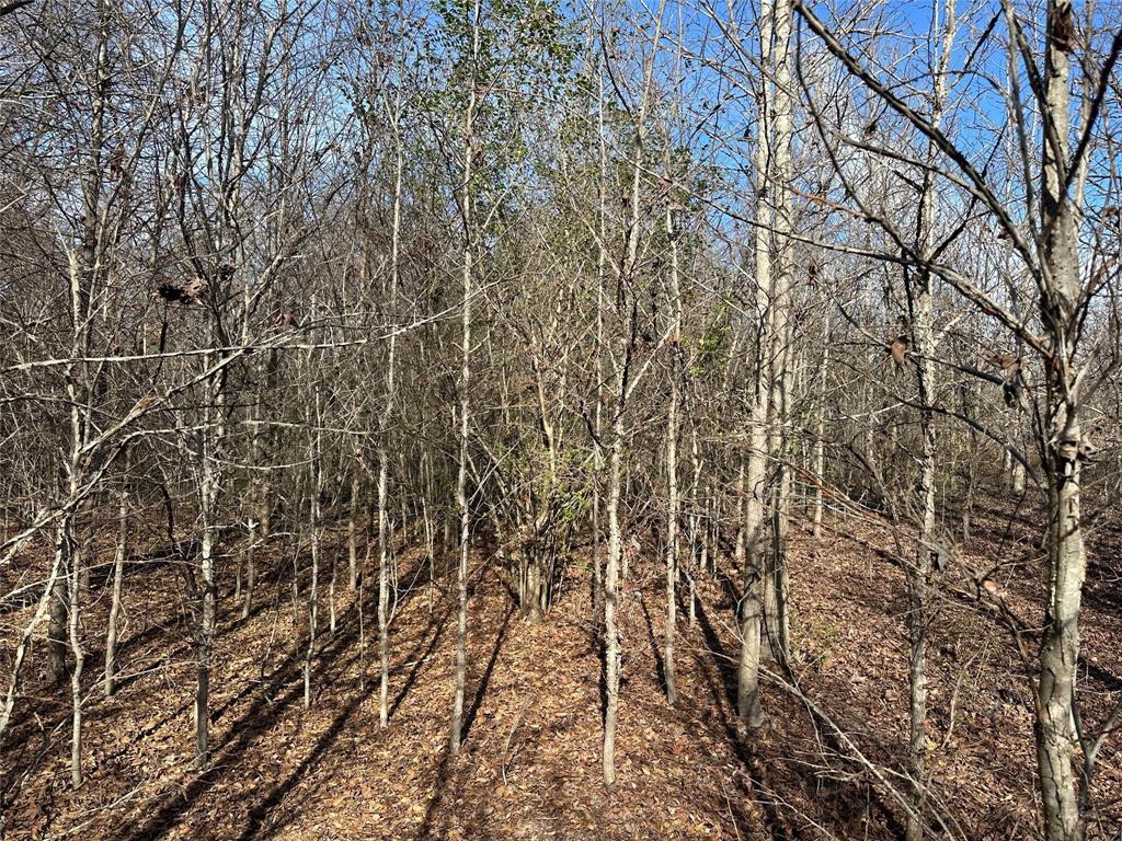 0000 County Road 2324 Property Photo 18