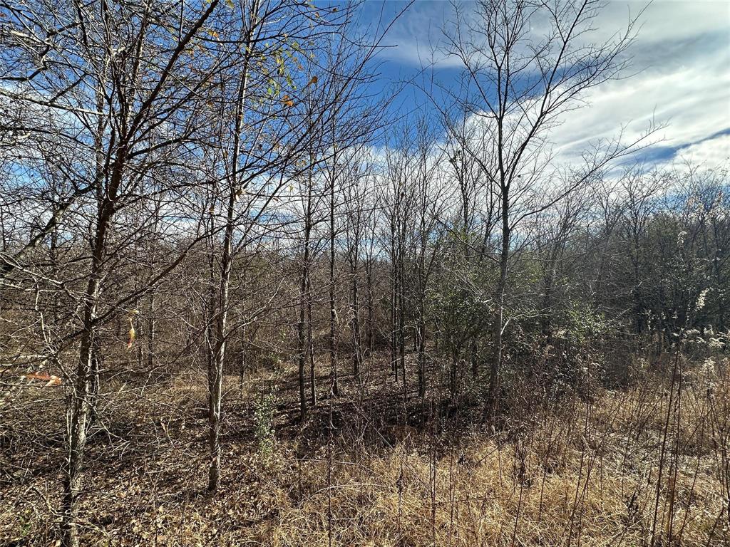 0000 County Road 2324 Property Photo 19