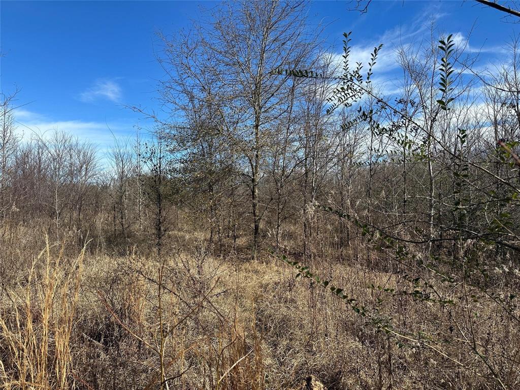 0000 County Road 2324 Property Photo 20