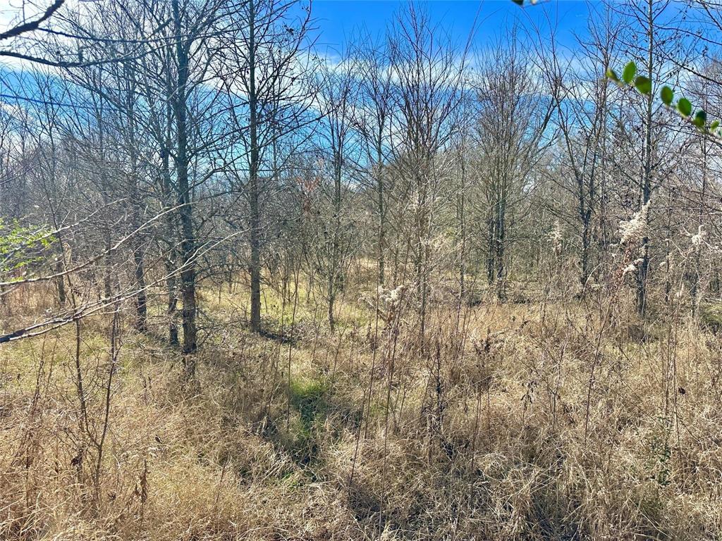 0000 County Road 2324 Property Photo 21