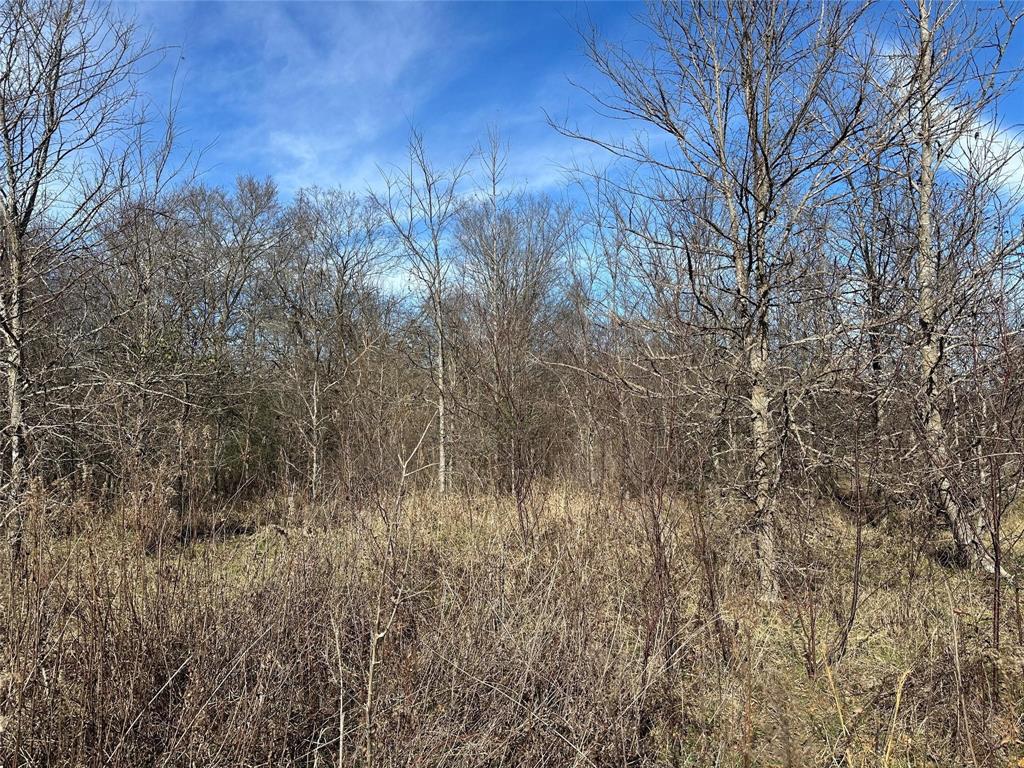 0000 County Road 2324 Property Photo 22