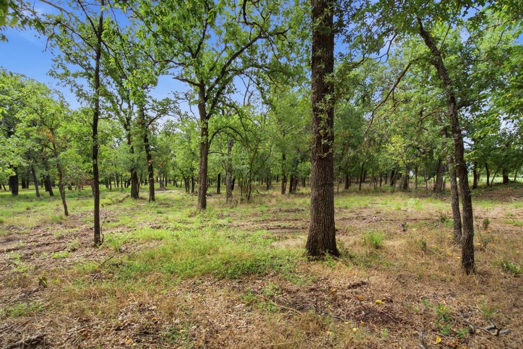 815 Fm 913 Property Photo 26