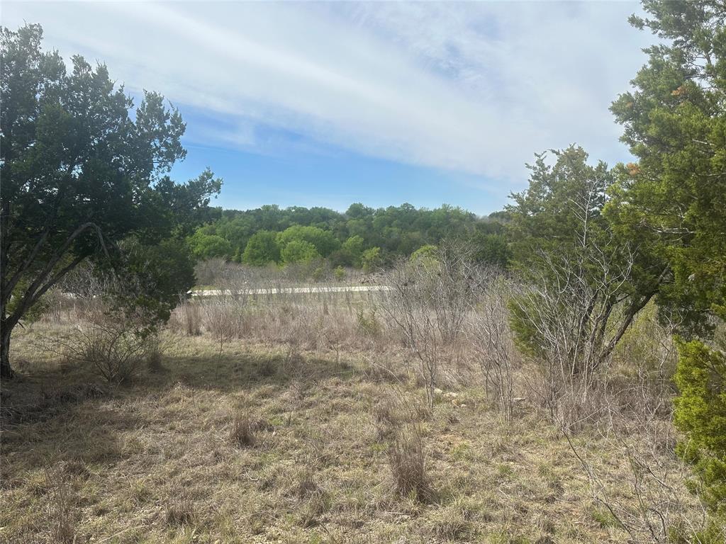 1241 Balcones Lane Property Photo 4