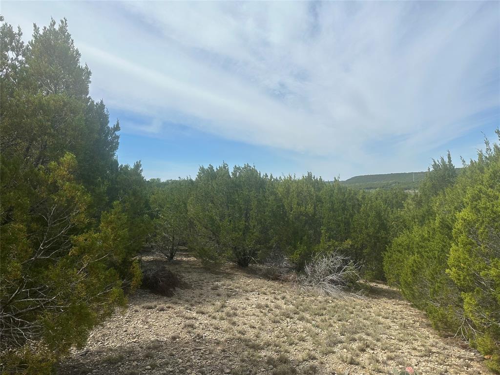 1241 Balcones Lane Property Photo 8