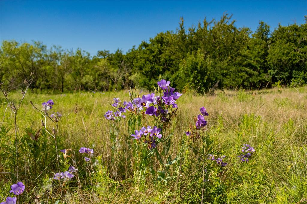Tbd Nash Road Property Photo 3