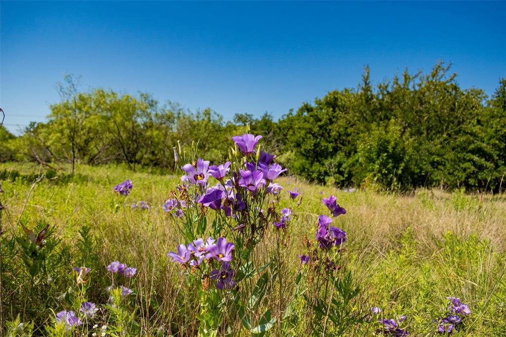 Tbd Nash Road Property Photo 30