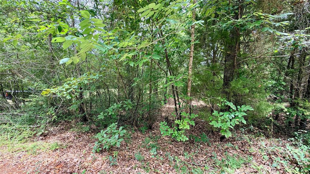 180 Vista Drive Property Photo 9